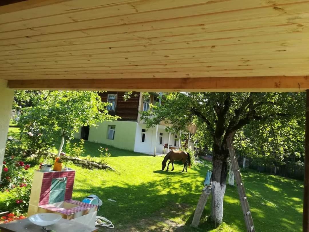 Guest House Lailashi Surmushi Exterior foto