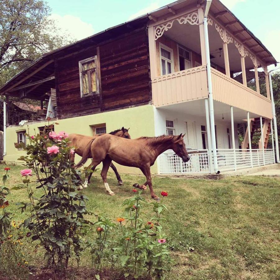 Guest House Lailashi Surmushi Exterior foto