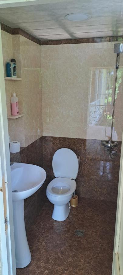 Guest House Lailashi Surmushi Exterior foto